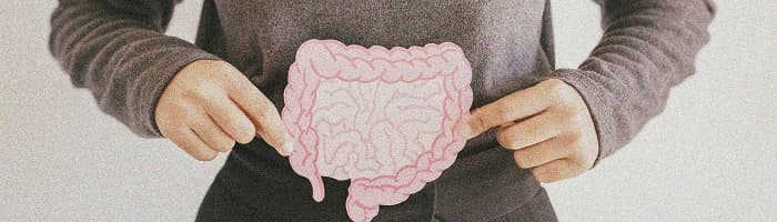 Prebiotikas –  sabiedrotais zarnu un vispārējai veselībai