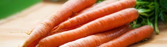 Королева грядки морковь: почему она необходима для здоровья человека?