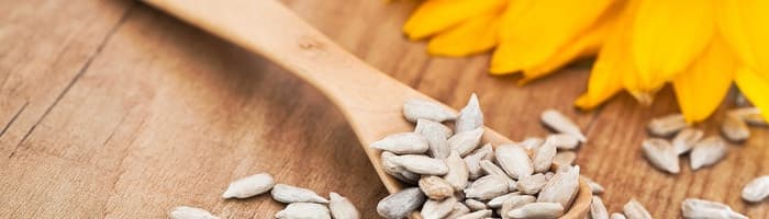 Minerālvielas cilvēka organismā