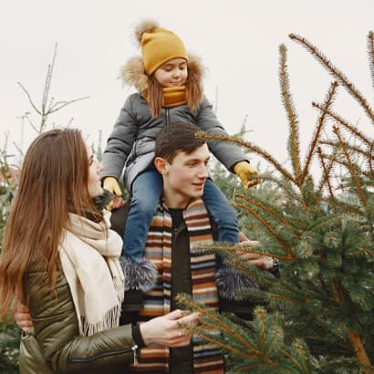 Ziemassvētku eglīte – ne tikai svētku dekors, bet arī sabiedrotais cīņā ar saaukstēšanos