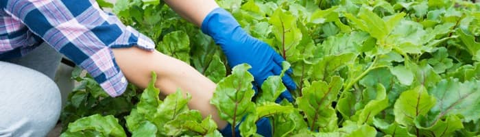 Pasargā sevi no muguras pārpūlēšanas un locītavu sāpēm