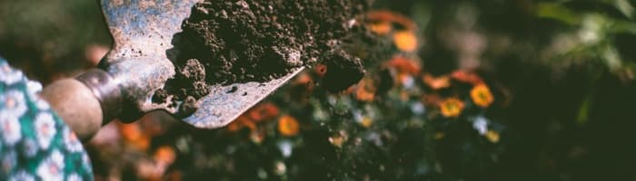 Kā rīkoties izplatītāko dārza darbu traumu gadījumā