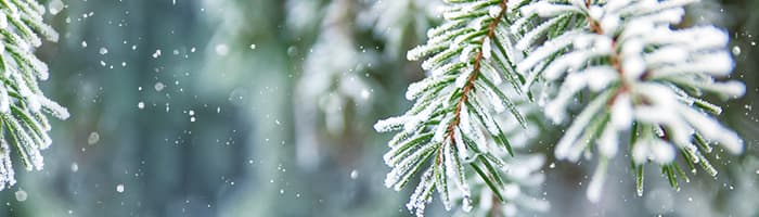 Aptieku darba laiku izmaiņas svētkos!