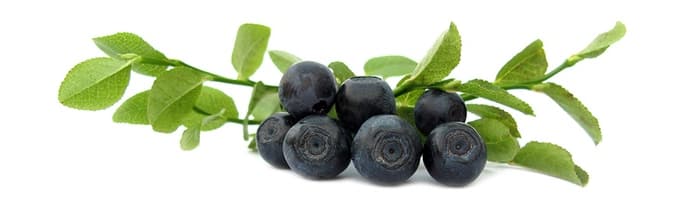 Ēdot mellenes, uzlabojas redzes kvalitāte!